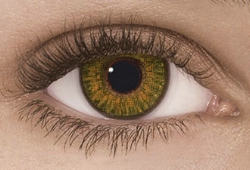 FreshLook ColorBlends Pure Hazel - 1 par